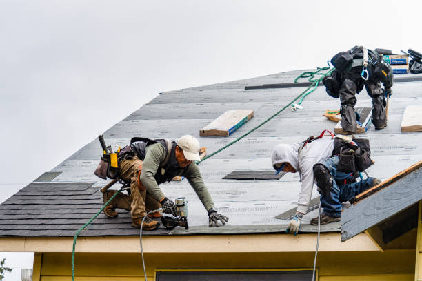 Professional Roofing technician working in San Bruno, CA
